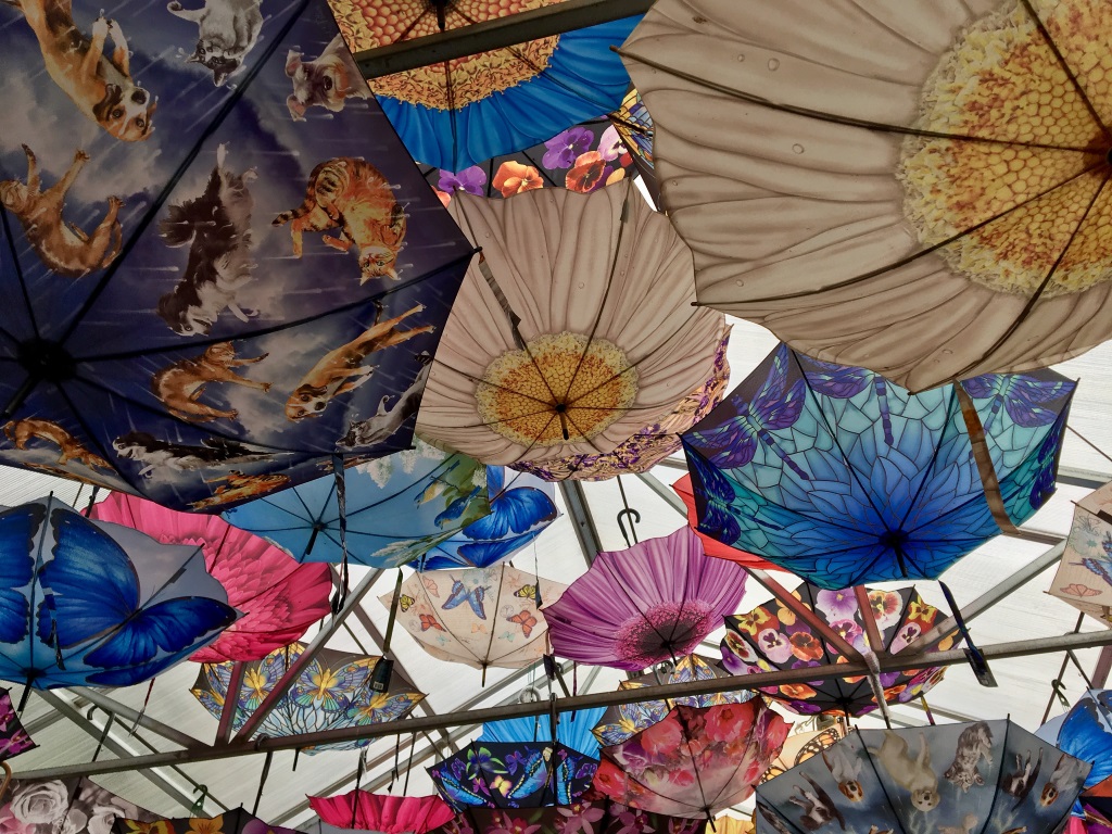 Image of umbrellas at Glacial Gardens